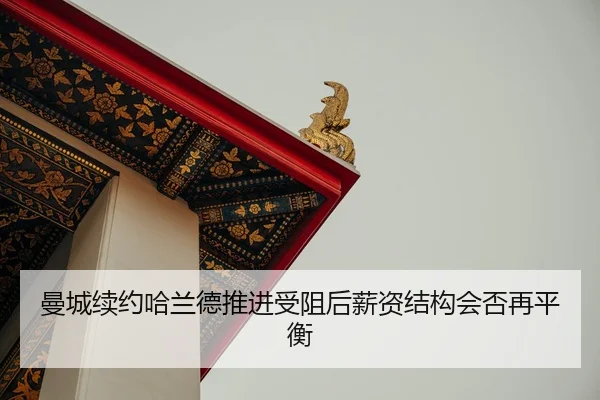 man-cheng-xu-yue-ha-lan-de-tui-jin-shou-zu-hou-xin-zi-jie-gou-hui-fou-zai-ping-heng-2-969.jpg