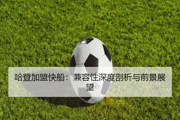 ha-deng-jia-meng-kuai-chuan-jian-rong-xing-shen-du-pou-xi-yu-qian-jing-zhan-wang-2-374.jpg