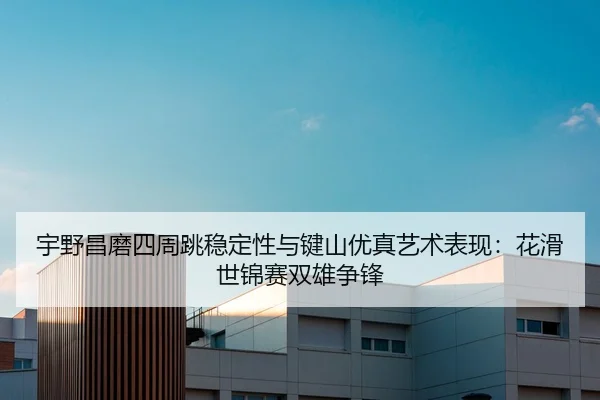 yu-ye-chang-mo-si-zhou-tiao-wen-ding-xing-yu-jian-shan-you-zhen-yi-shu-biao-xian-hua-hua-shi-jin-sai-shuang-xiong-zheng-2-834.jpg